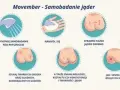 Do jakiego lekarza badać jądra? Urolog, objawy i samobadanie
