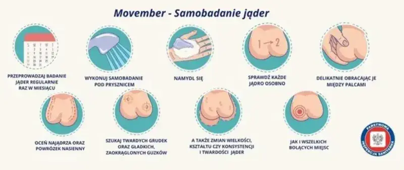 Do jakiego lekarza badać jądra? Urolog, objawy i samobadanie