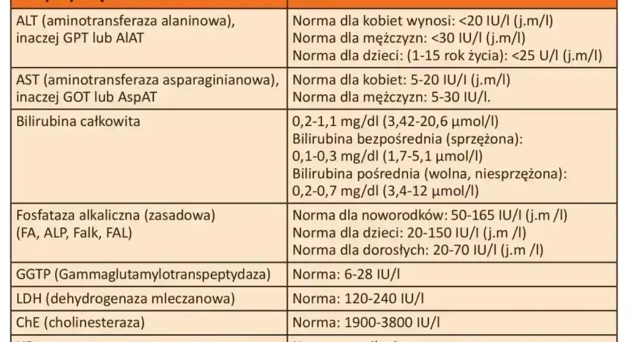 Tabela z normami badań wątrobowych: ALT, AST, bilirubina, ALP, GGTP, LDH, ChE, HBs, HCV. Co to za badanie?