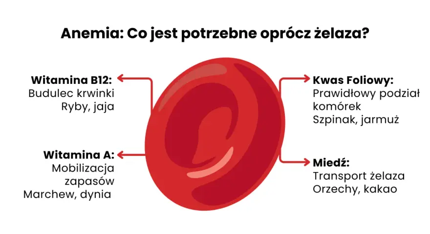 Anemia: co jeść oprócz żelaza? Witamina B12, kwas foliowy, witamina A i miedź są kluczowe. Znajdziesz je w rybach, jajach, szpinaku, marchwi i orzechach.