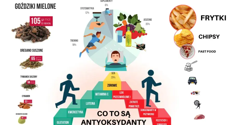 Antyoksydanty co to? Piramida zdrowia, sen, trening, jedzenie, suplementy. Zioła i przyprawy bogate w antyoksydanty.