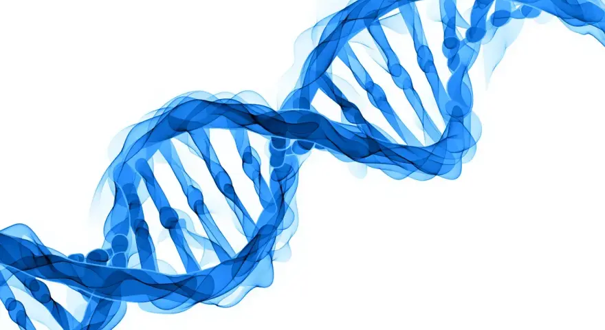 Niebieska, stylizowana podwójna helisa DNA, symbolizująca życie i potencjalne badania nad zespołem Cornelii de Lange.