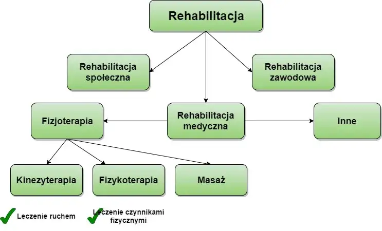 rodzaje fizjoterapii infografika