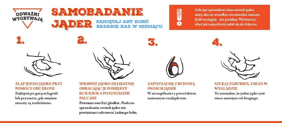 samobadanie jąder instrukcja krok po kroku