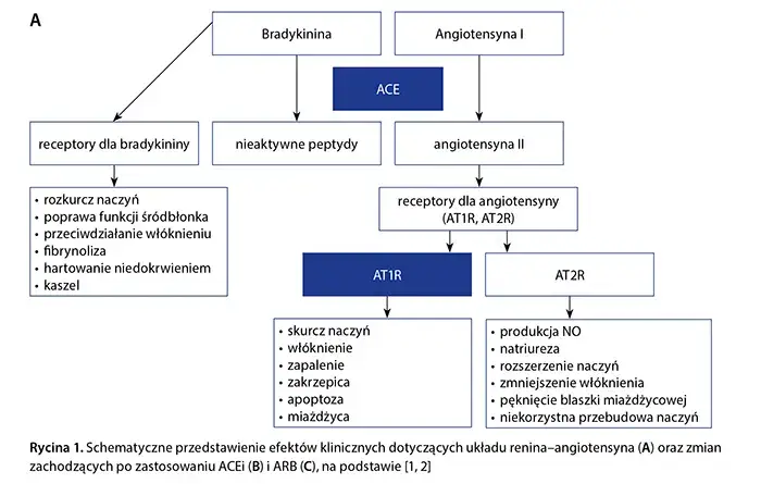 Rodzaje leków na nadciśnienie sartany