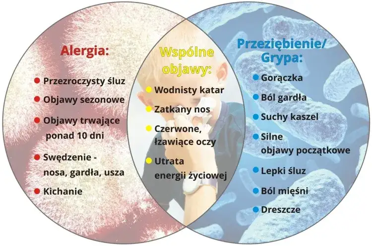 objawy alergii katar zatkany nos kichanie